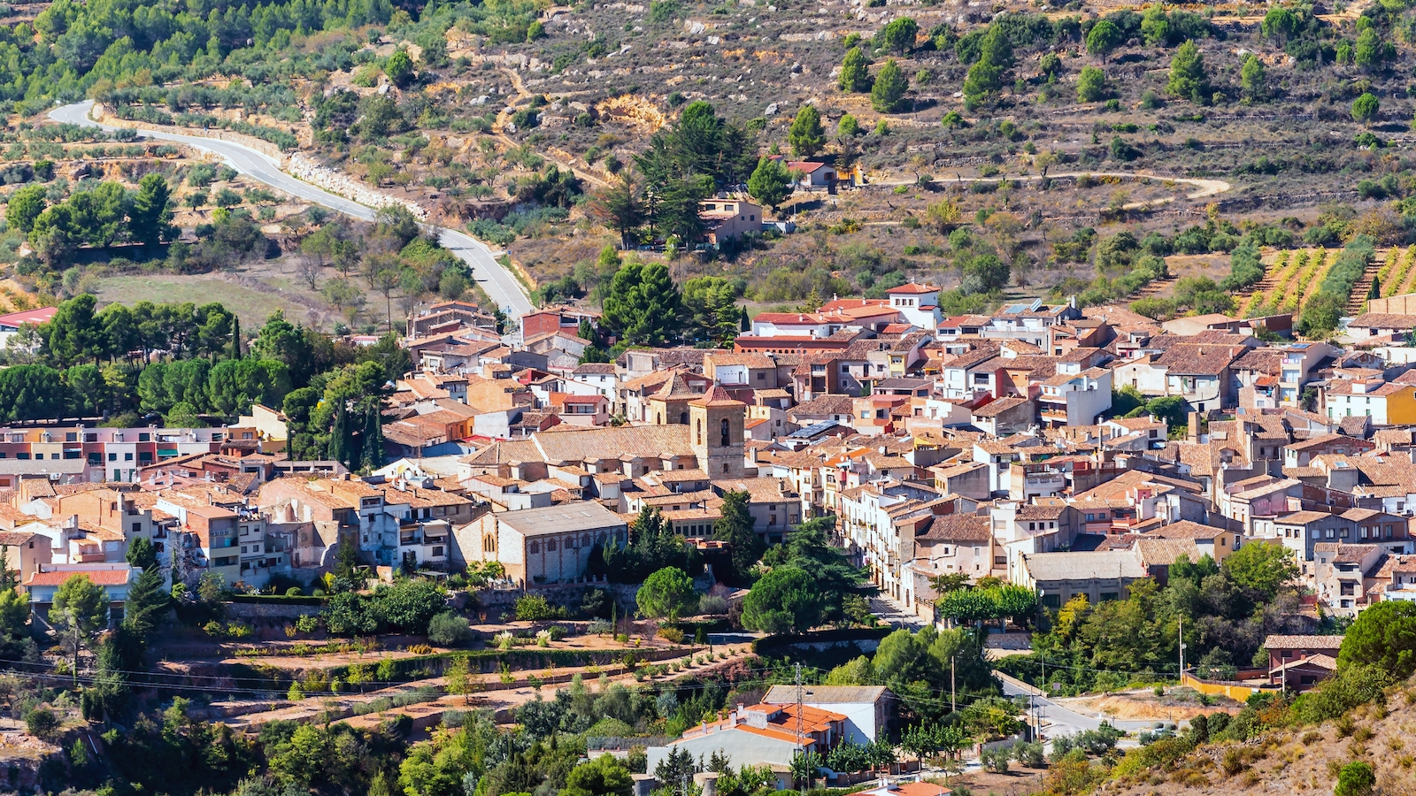 Shutterstock_780791203