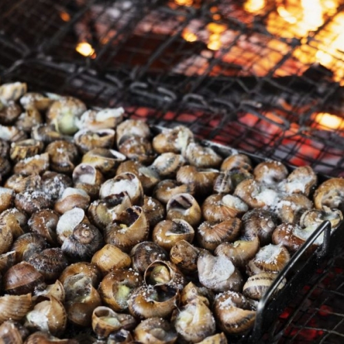 AdobeStock 233033599 1600x1067 1 900x600