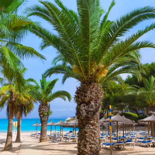 shutterstock 266028947 - Cala Vinyes