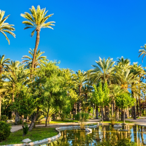 shutterstock 529943362 - Elche