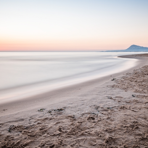 shutterstock 609349043 - Oliva