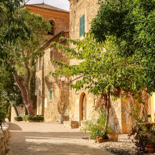 shutterstock 1204378003 - Palma de Mallorca
