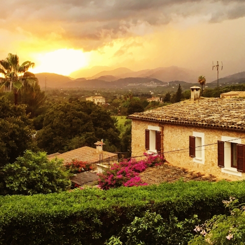 shutterstock 1243300312 - Búger