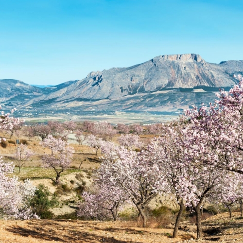 shutterstock 127231826 - Velez Blanco, Almeria