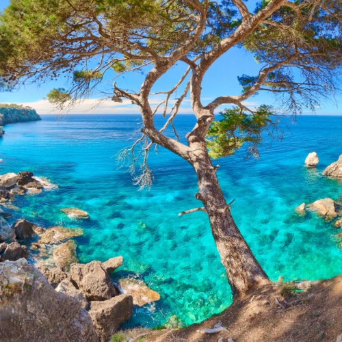 shutterstock 1372140905 - Cala Deia Mallorca