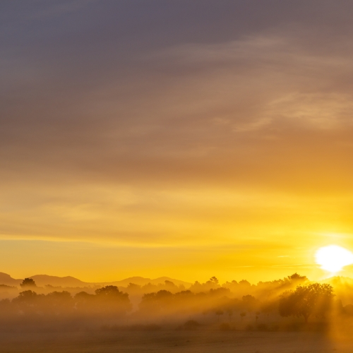 shutterstock 1873919308 - interior de la isla de Mallorca