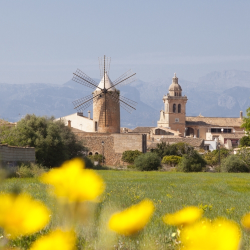 shutterstock 218153443 - Algaida, Mallorca