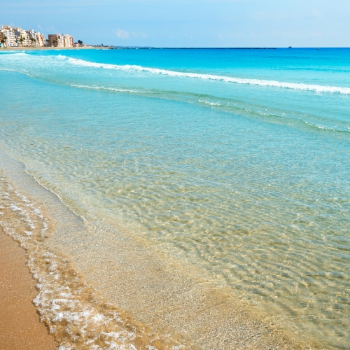 shutterstock 1217616061 - Burriana