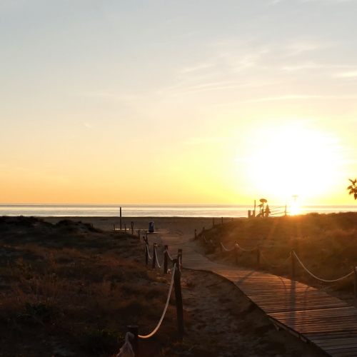 shutterstock 1407581297 - Canet d'en Berenguer