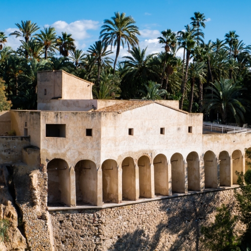 shutterstock 1575983656 - Elche