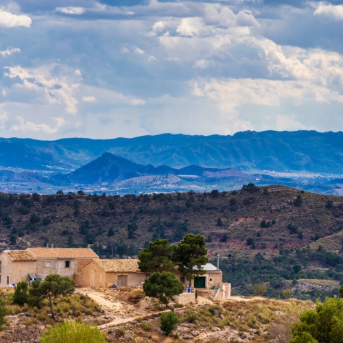 shutterstock 1584200245 - Barinas