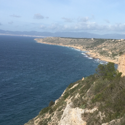 shutterstock 1588283350 - Badia Blava