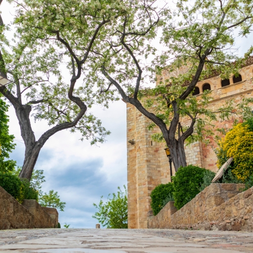 shutterstock 1710339901 - Pals