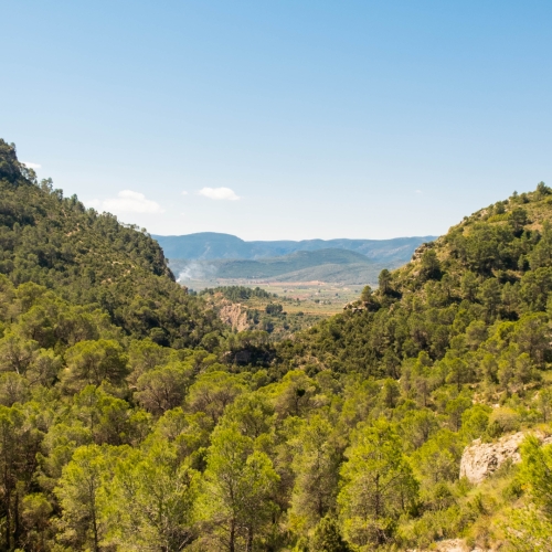 shutterstock 1964272936