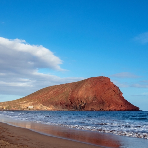 shutterstock 1980703583