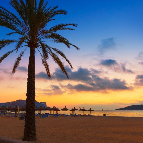 shutterstock 270285110 - Magaluf