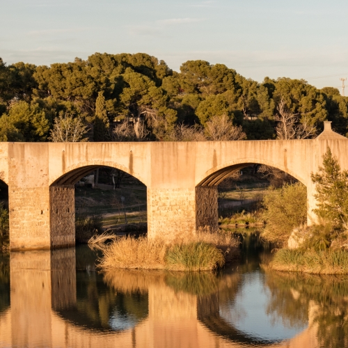 shutterstock 1056337184 - Almazora