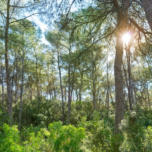 shutterstock 1098606680