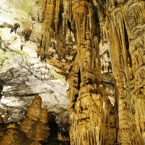 shutterstock 1134619898 - Artà