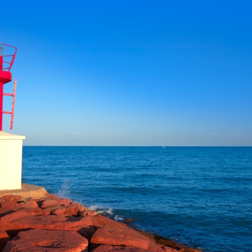 shutterstock 1231321600