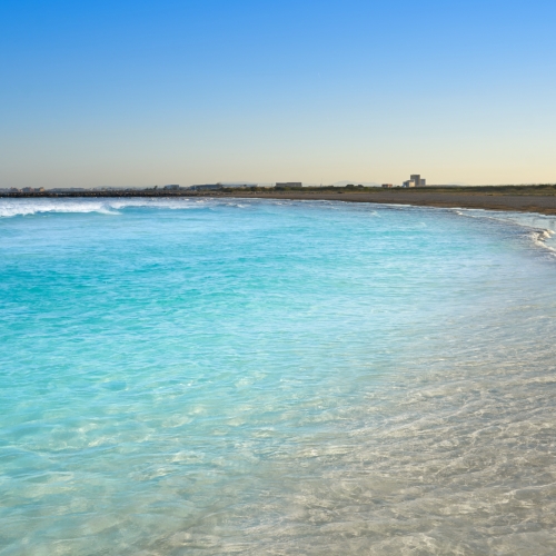 shutterstock 1231322707