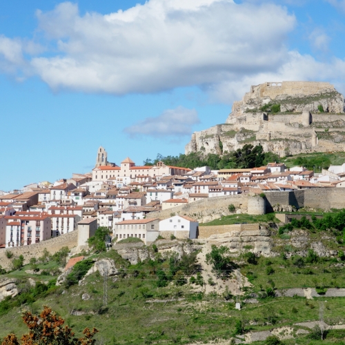 shutterstock 1405562225 - Morella