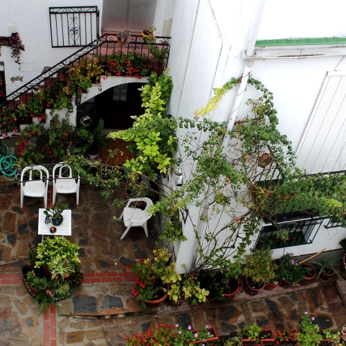 shutterstock 1563535057 - Jubrique