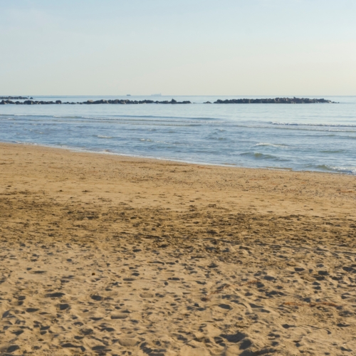 shutterstock 1656250273