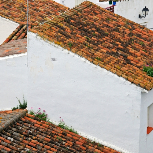 shutterstock 1735189109