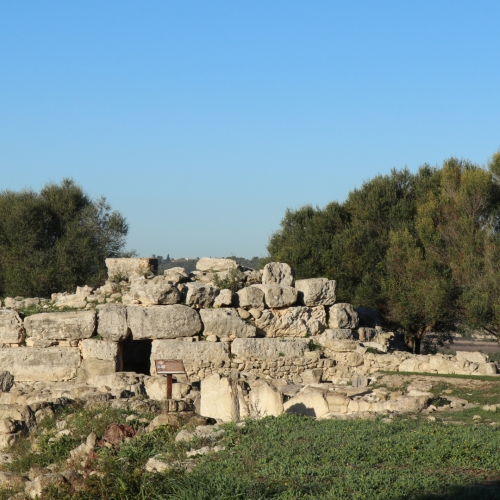 shutterstock 1881777745 - Montuïri