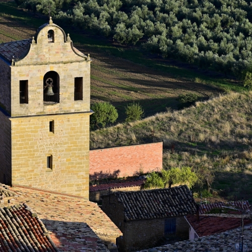 shutterstock 2058788039