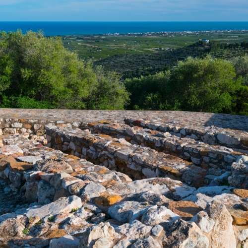 shutterstock 2082399247 - la Sènia