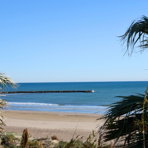 shutterstock 2110369295