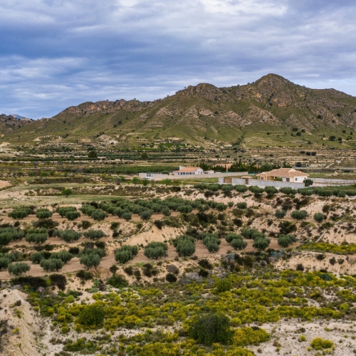 shutterstock 2141418305