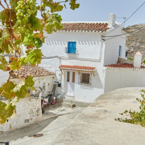 shutterstock 623152097 - Lubrin