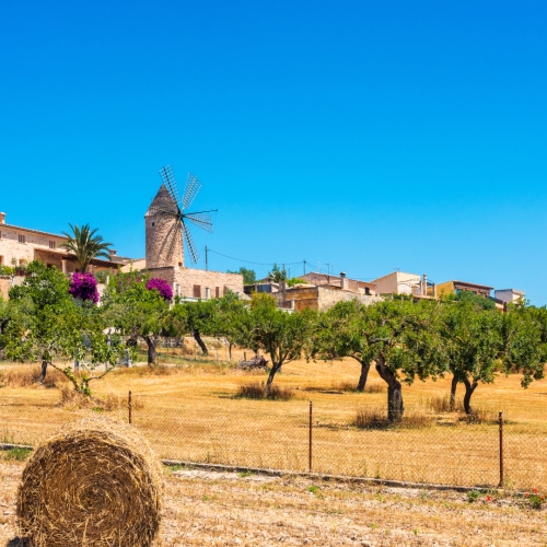 shutterstock 784650532