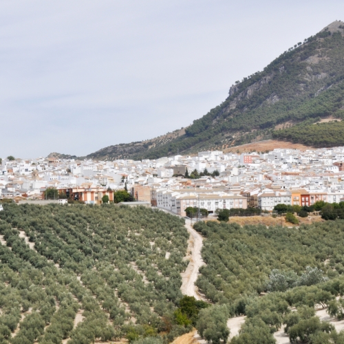 shutterstock 116379913 - Rute