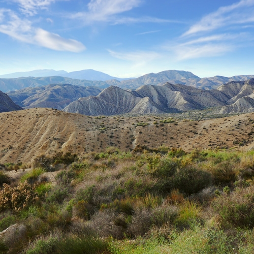 shutterstock 1345643873