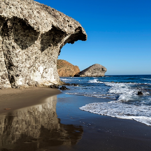 shutterstock 1768656395