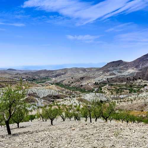 shutterstock_197054810