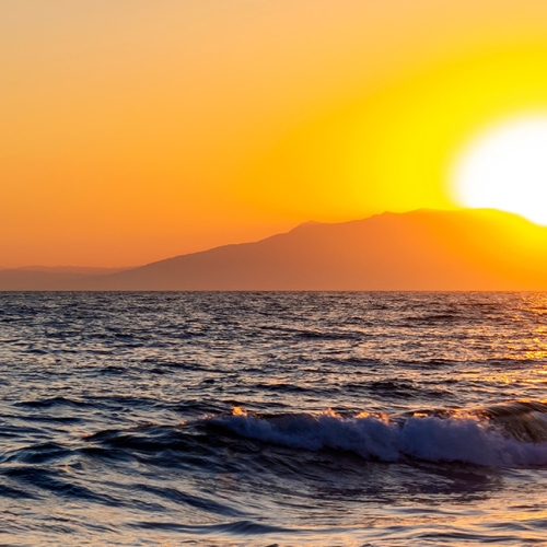 shutterstock 2133327561