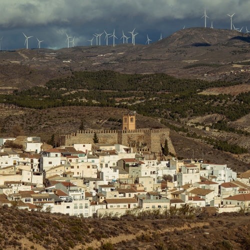 shutterstock_2158263623