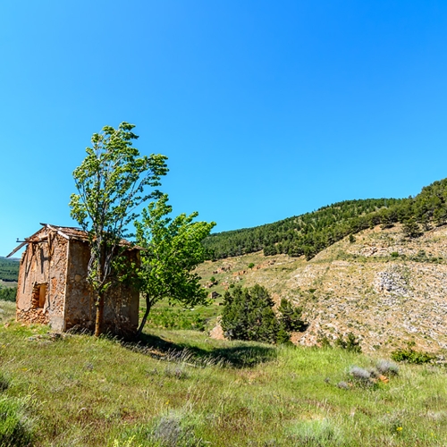 shutterstock_218478649