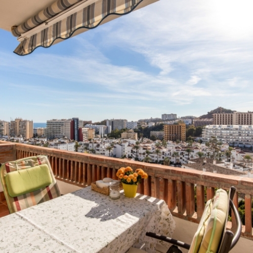 SOLGTCSW-783-R3949378