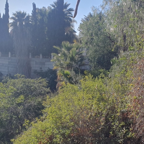 Salobreña