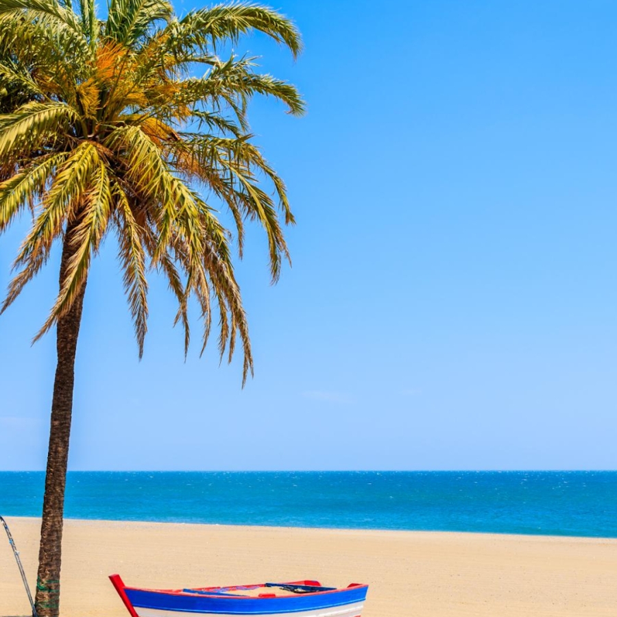 shutterstock 1115533355 - Estepona