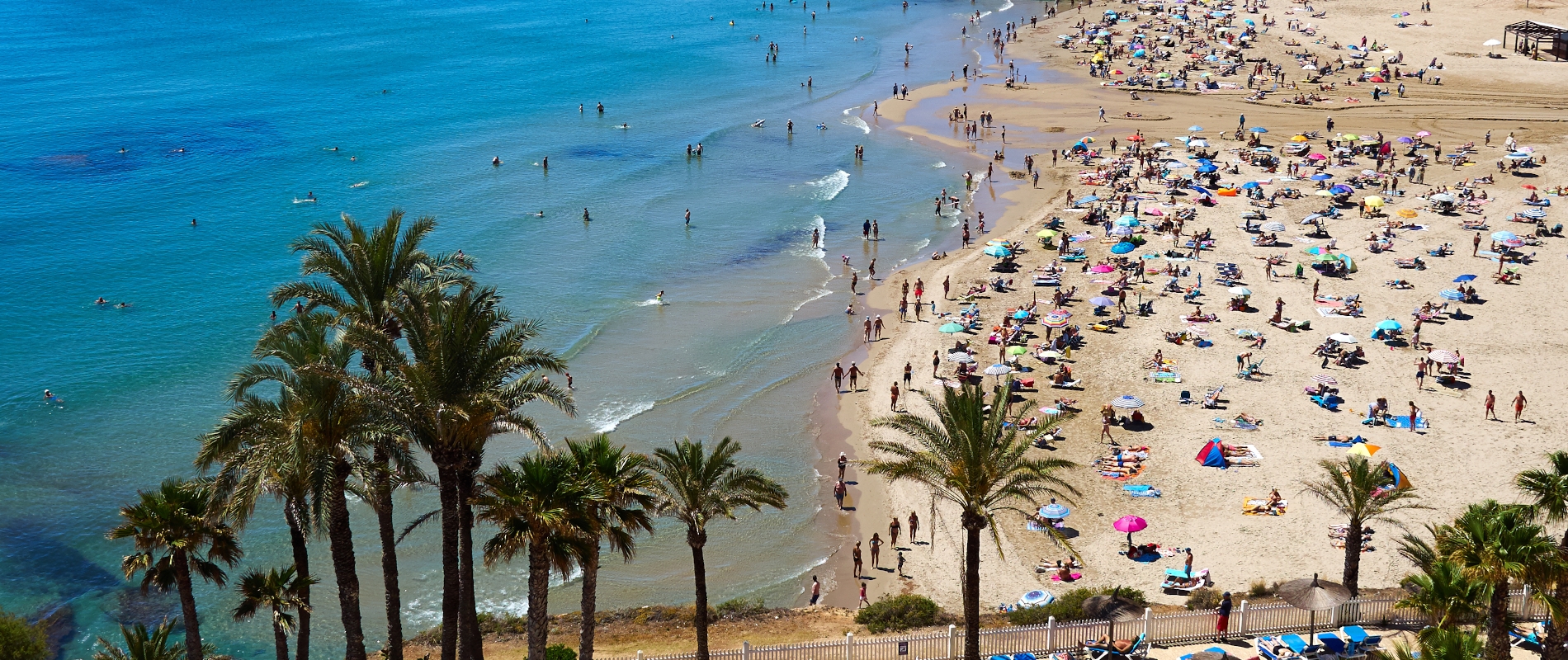 shutterstock 1154540047