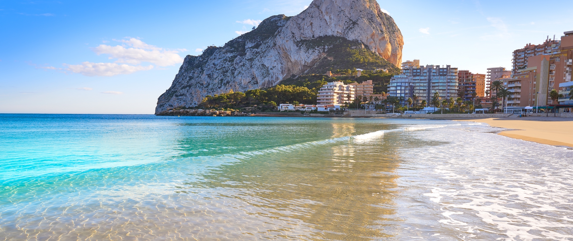 shutterstock 1288967662