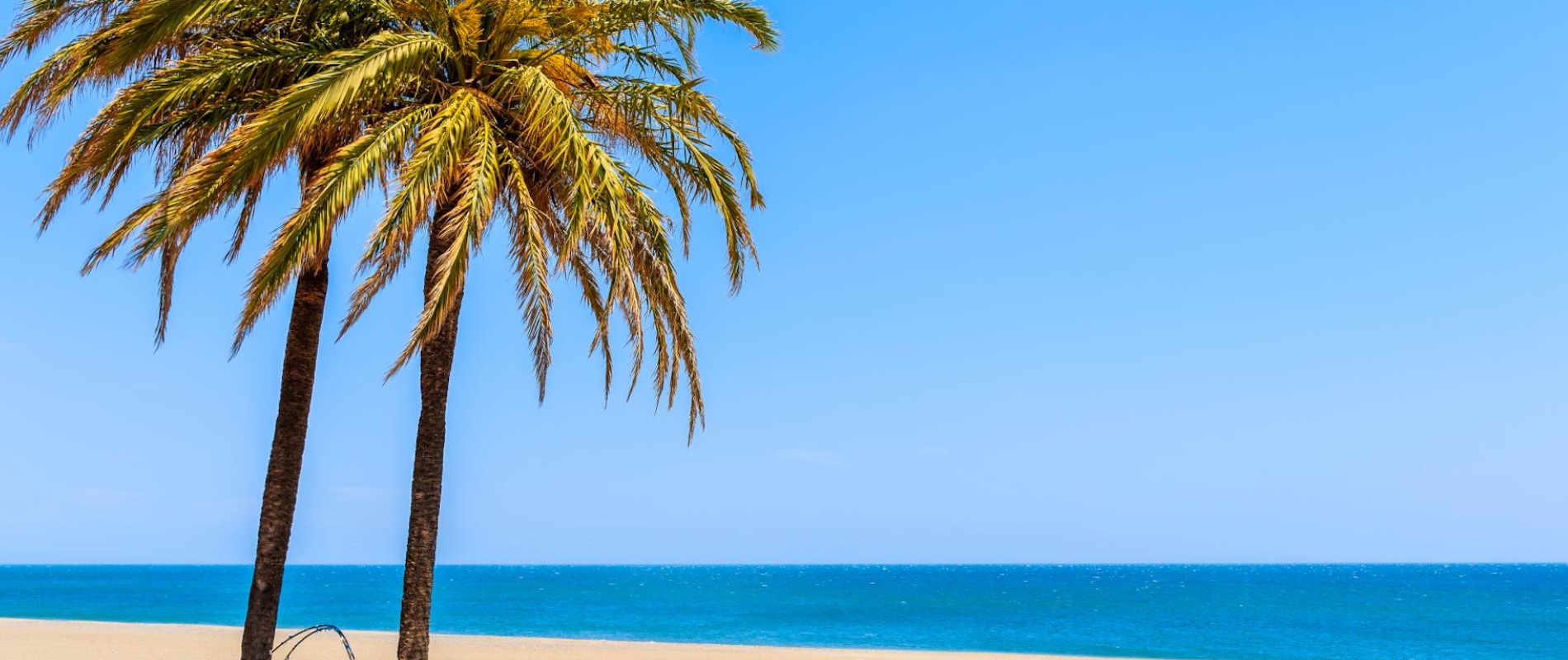 shutterstock 1115533355 - Estepona
