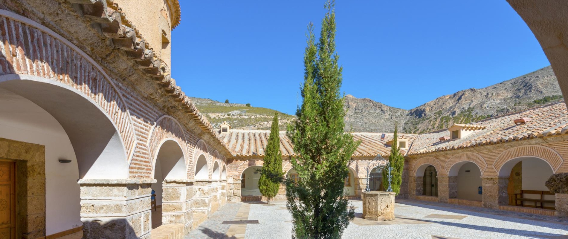 shutterstock 423922111 - Albox